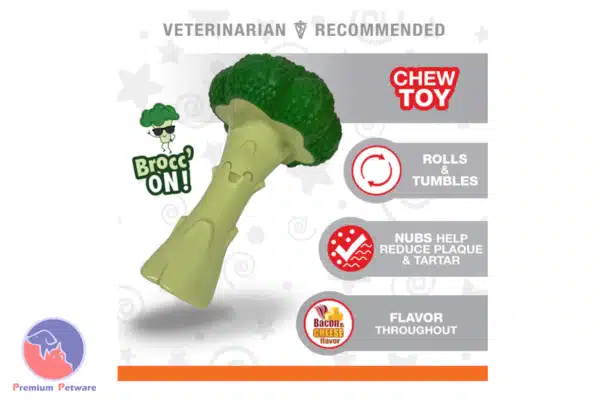 Nylabone Power Chew Broccoli