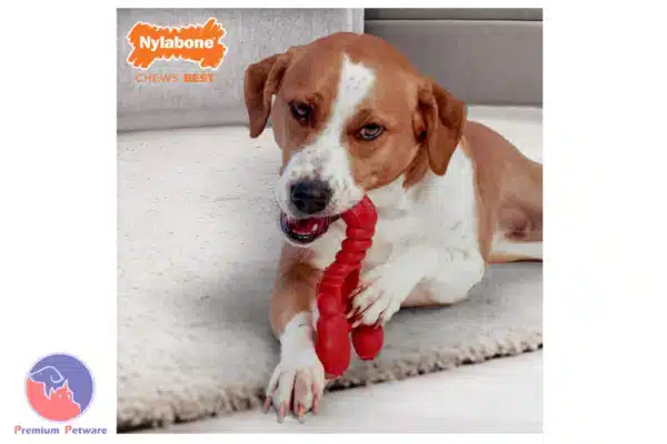 Nylabone Power Chew Lobster