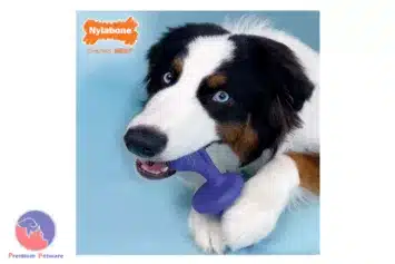 Nylabone Power Chew Rolley Chew Toy