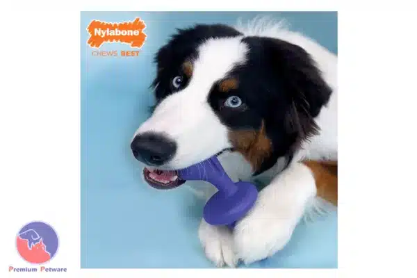 Nylabone Power Chew Rolley Chew Toy