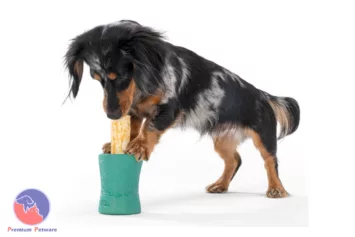 West Paw Funnl Dog