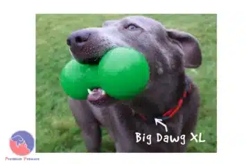 Ruff Dawg Big Dawg XL