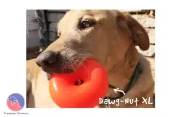 Ruff Dawg Dawg-Nut XL