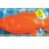 Ruff Dawg Flying Fish