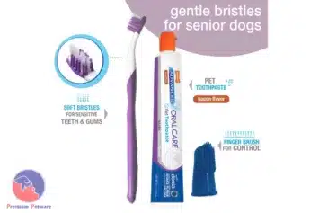 Nylabone Advanced Oral Senior Dental Kit