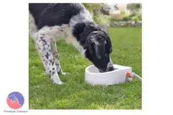 Trixie Automatic Water Trough