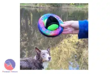 Puppingtons Phizzbee