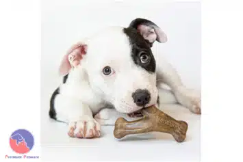 Benebone Bacon Chew Toys For Puppies