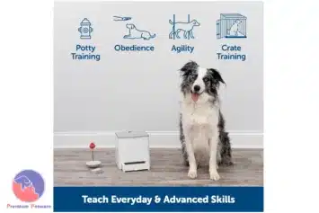 PetSafe Teach And Treat