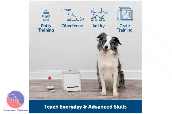 PetSafe Teach And Treat
