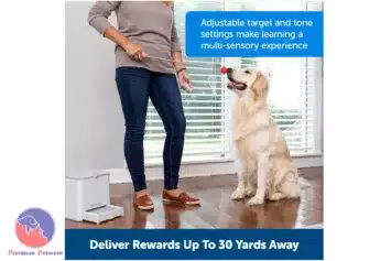 PetSafe Teach And Treat