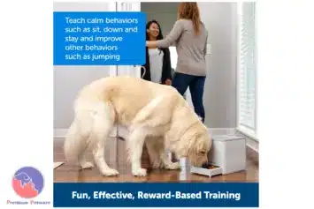 Petsafe Teach And Treat Remote Reward Trainer