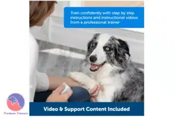 PetSafe Teach And Treat