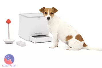 PetSafe Teach And Treat