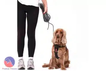 EzyDog Track N Train Slimline Leash