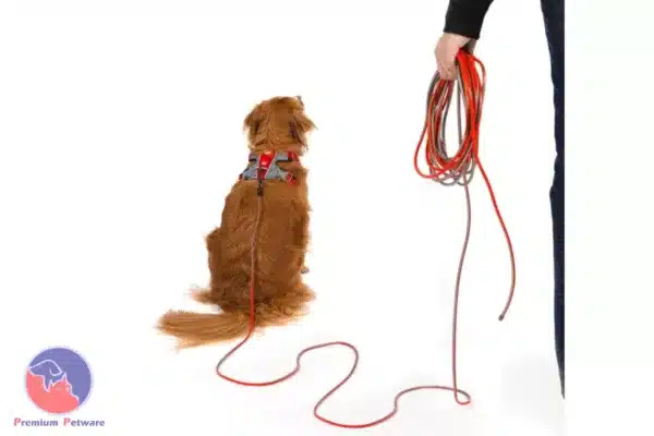 EzyDog Track N Train Slimline Leash