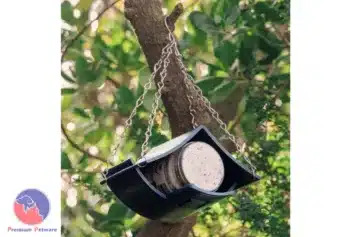 Topflite Bird Butter House