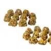 Topflite Parrot Picks