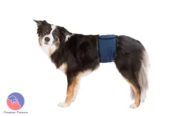 Trixie Belly Band Nappy For Male Dogs