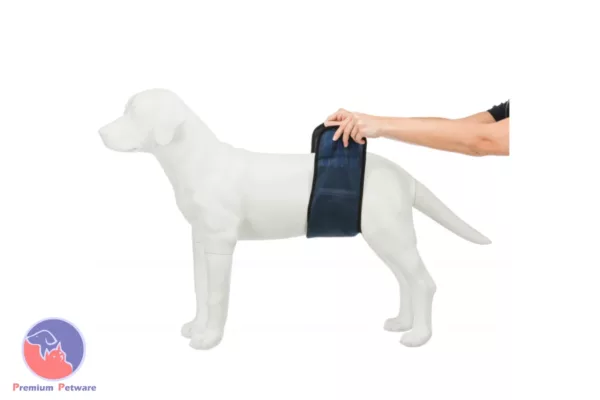 Trixie Belly Band Nappy For Male Dogs
