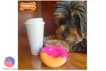 Nylabone Power Chew Donut