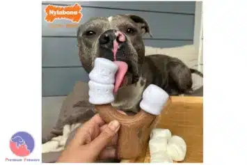 Nylabone Strong Chew Marshmallow Stick
