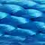 Mendota Blue